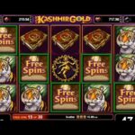 Tips Menggunakan Bonus Slot Agar Tidak Hangus